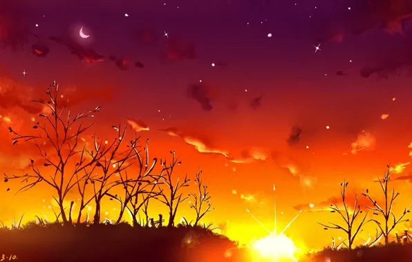 Wallpaper the sun, trees, Crescent, sunset, nature