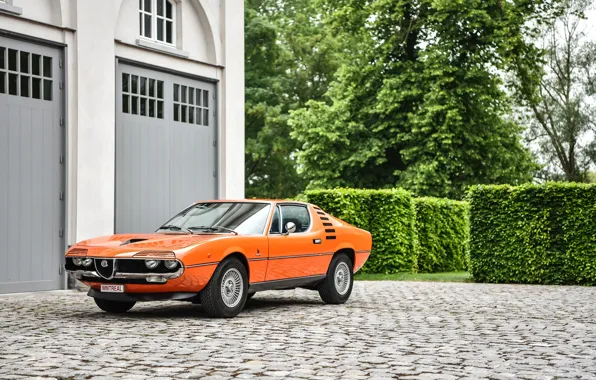Alfa Romeo, Orange, Montreal, 1973