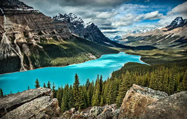 Forest, mountains, lake, stones, rocks, shore, tops, beauty