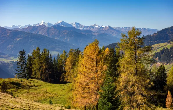 Autumn, trees, mountains, October, Austria