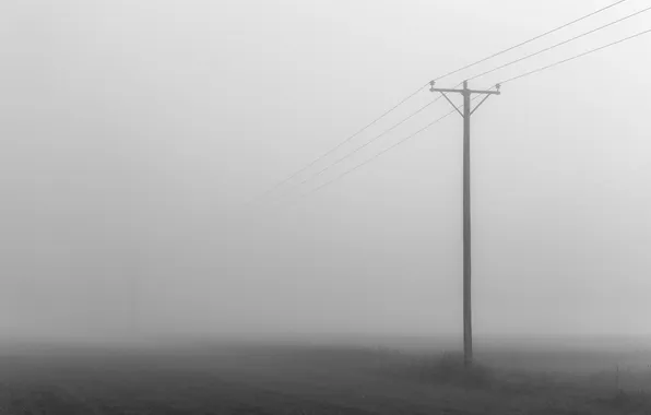 Field, fog, power lines