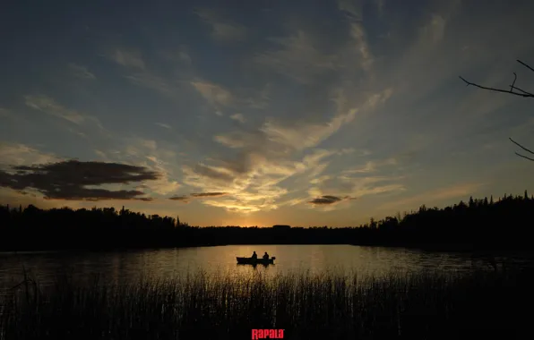 Forest, the sky, water, clouds, lake, dawn, boat, fishing
