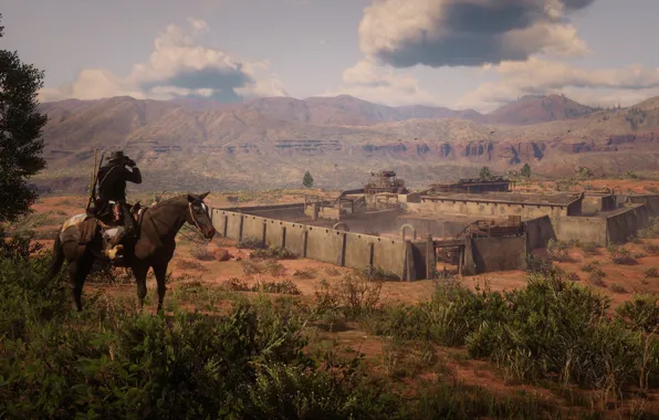 Game, Rockstar Games, Red Dead Redemption 2, Gang, RDR