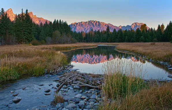 Picture the sky, trees, mountains, river, dawn, Wyoming, USA, Grand Teton National Park