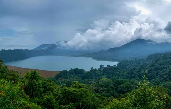 Forest, clouds, mountains, fog, lake, tropics, jungle, Indonesia