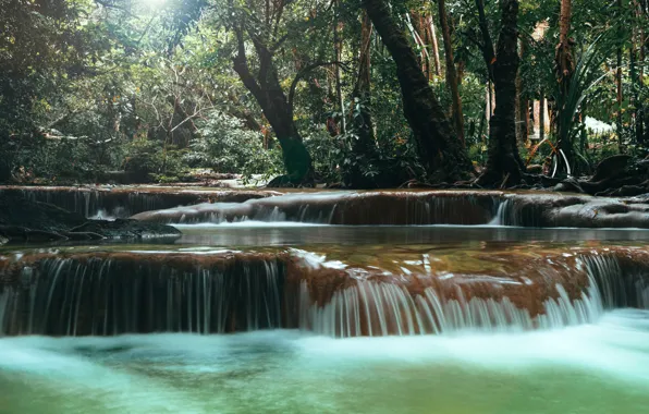 Forest, landscape, river, rocks, waterfall, summer, forest, tropical