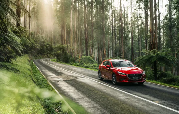 Picture Red, Nature, Road, Forest, Machine, Mazda, Car, Car