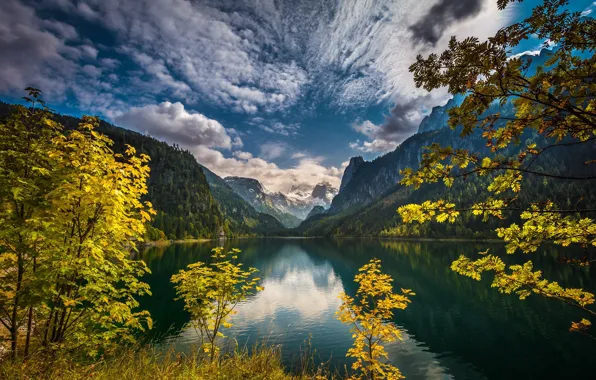 Forest, mountains, lake, Austria, lake Gosau, Gregor Thelen