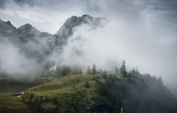 Picture the sky, clouds, trees, mountains, nature, fog, lake, rocks