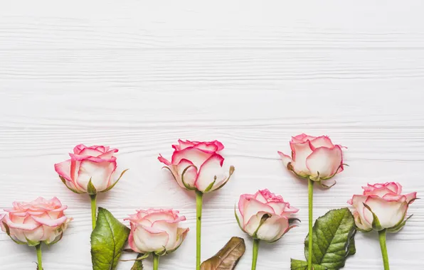 Roses, buds, wood, decor, roses, composition