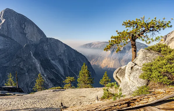 The sky, the sun, trees, mountains, stones, rocks, USA, California