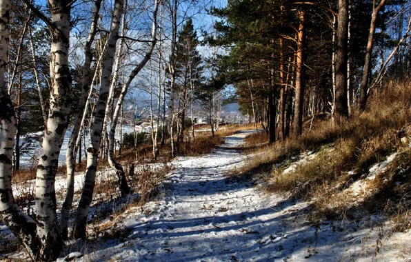 Picture winter, forest, snow, track, path, Ust ' -Kut