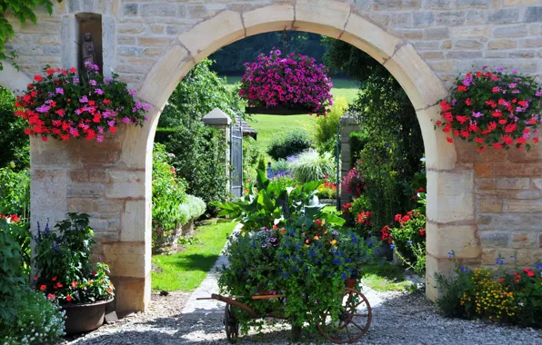 Flowers, nature, photo, France, garden, geranium, Petunia