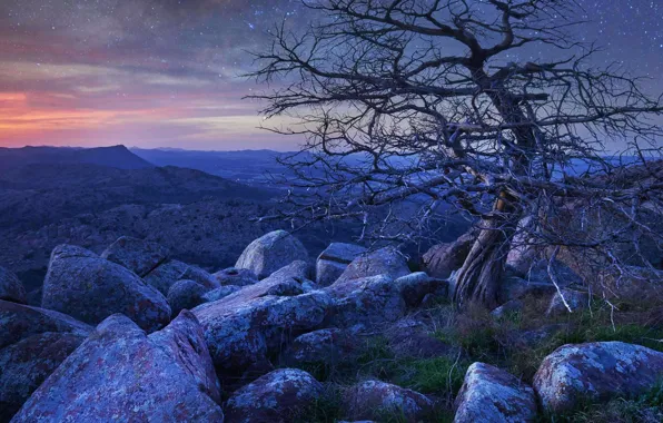Picture trees, mountains, stones, dawn, USA, Oklahoma, Mount Scott, Wichita Mountains National Wildlife Refuge