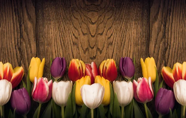 Picture flowers, heart, colorful, tulips, red, love, wood, romantic