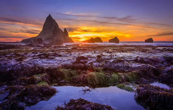 Sea, the sky, the sun, clouds, light, algae, landscape, sunset