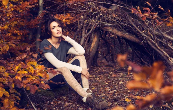Picture autumn, look, leaves, girl, branches, nature, face, background