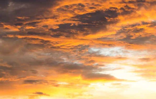 Picture the sky, clouds, sunset, clouds, background, pink, colorful, sky