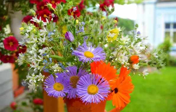 Bouquet, Bouquet, Purple flowers, Purple flowers