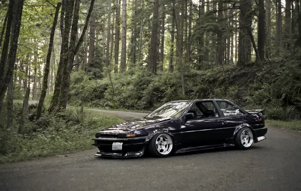 Picture forest, black, Toyota, black, Toyota, AE86, stance, Corolla