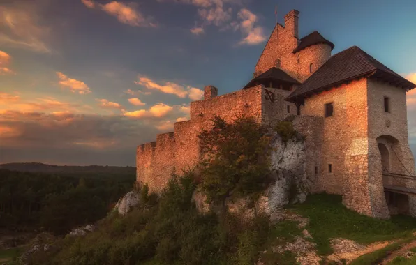 Forest, the sky, clouds, castle, hill, architecture