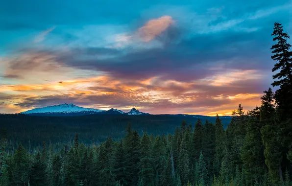 Forest, landscape, mountains, sunset, Oregon Cascades, Diamond Peak