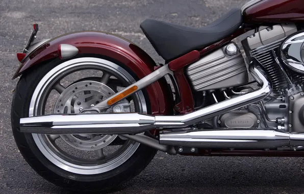 Harley, Davidson, caramel