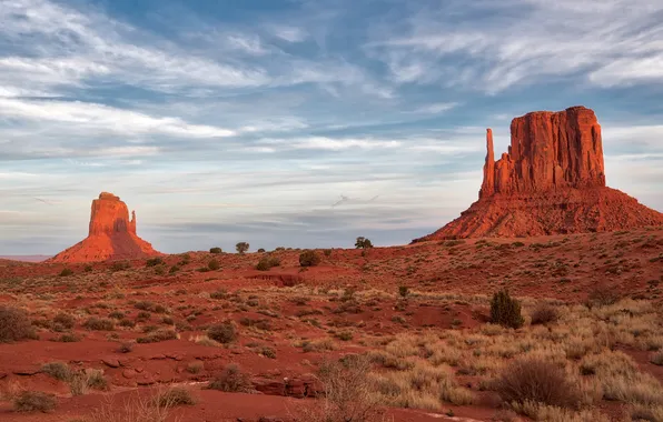 Field, clouds, mountains, rocks, desert, shrubs, Monument Valley