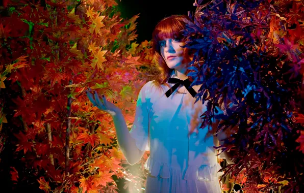 Picture British group, indie pop, art-rock, Baroque-pop, Florence and the Machine, singer Florence Welch, Indie rock, …