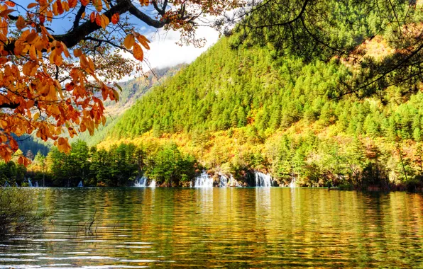 Autumn, forest, leaves, trees, mountains, branches, lake, Park