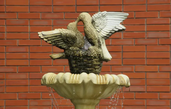 Flowers, pigeons, fountain, brick wall, spring 2018, Meduzanol ©