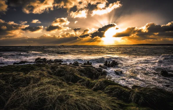 Sea, the sky, grass, the sun, rays, light, sunset, clouds