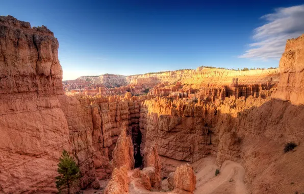 Picture sand, rock, stones, rocks, landscapes, stone, morning, America