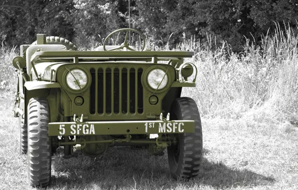 Grass, war, car, the front, army, Jeep, high, patency