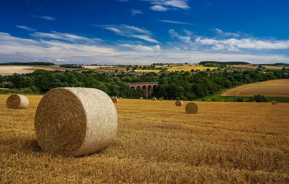 Picture the sky, clouds, field, village, hay, bridges, farm