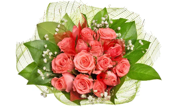 Picture roses, bouquet, gentle, beautiful, March 8, beautiful, chic, lovely