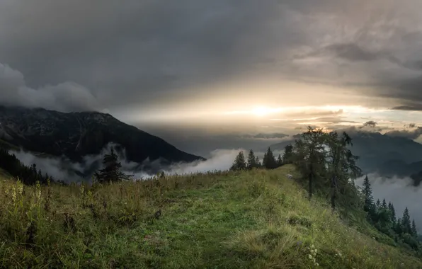 The sky, grass, the sun, clouds, light, mountains, fog, open