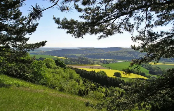 Hills, spring, rape