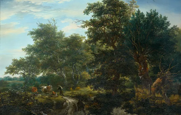 Landscape, oil, picture, Forest, Jacob van Ruisdael