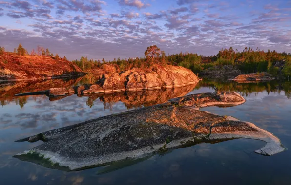 Autumn, trees, landscape, nature, stones, Lake Ladoga, Ladoga, Maxim Evdokimov