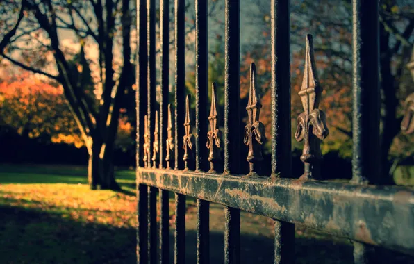 Nature, Park, the fence, gate