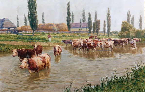 Home, Trees, River, Picture, Cows, Austrian artist, Stefan Simoni, Stefan Simony