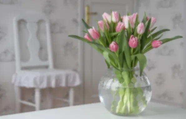 Bouquet, tulips, vase