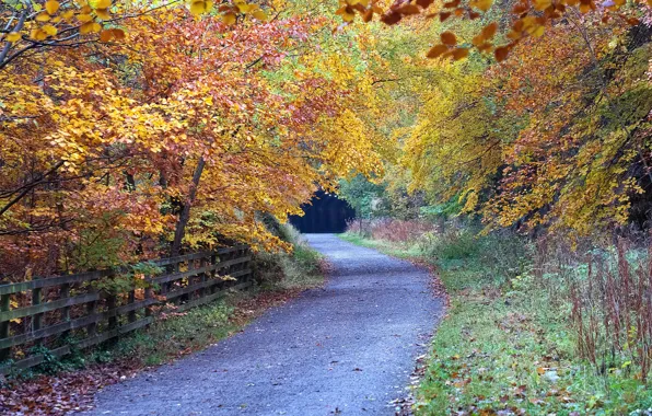 Picture road, Park, England, Derbyshire, Peak District