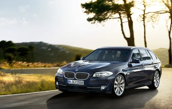 Road, the sky, tree, BMW, BMW, the front, universal, 5 Series