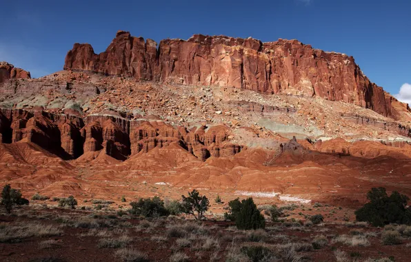 Desert, rocks, brush, Monument Valley