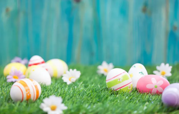 Picture grass, flowers, Easter, flowers, spring, Easter, eggs, Happy