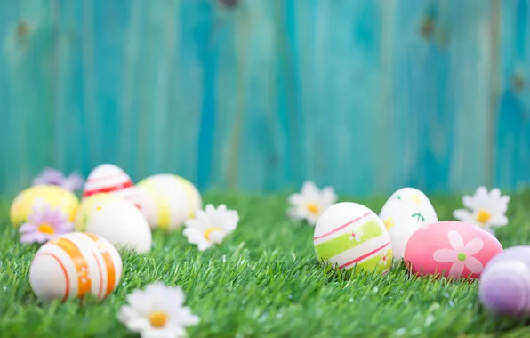 Grass, flowers, Easter, flowers, spring, Easter, eggs, Happy