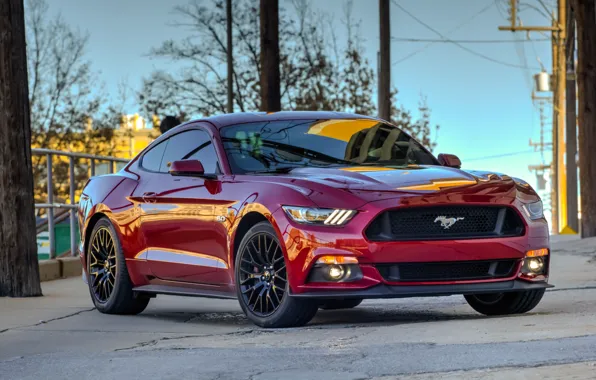 Picture Mustang, Ford, red, 2015