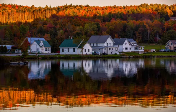 Picture autumn, forest, landscape, nature, lake, reflection, home